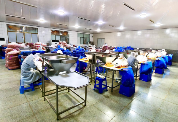 兴化 联结一产三产，特色现代农业园区建设涌春潮——食品集中加工赋能产业融合新篇章